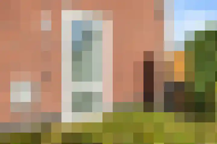 Penningkruid 1 Meerstad thumbnail 33