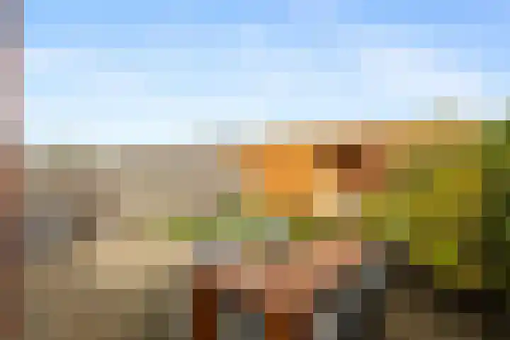 Penningkruid 1 Meerstad thumbnail 34