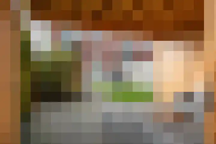 Penningkruid 1 Meerstad thumbnail 37