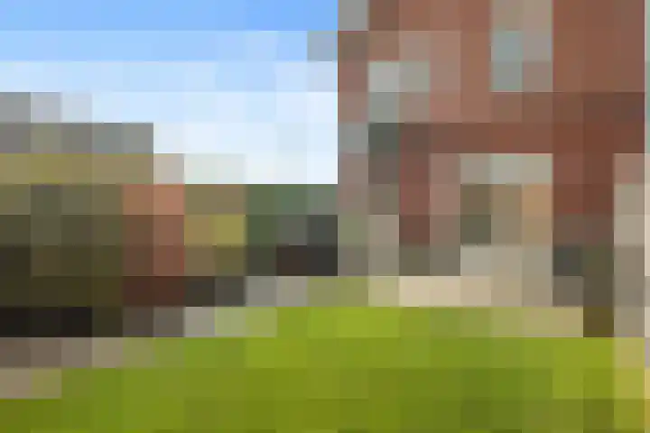 Penningkruid 1 Meerstad thumbnail 39