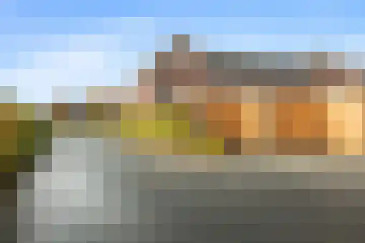 Penningkruid 1 Meerstad thumbnail 42