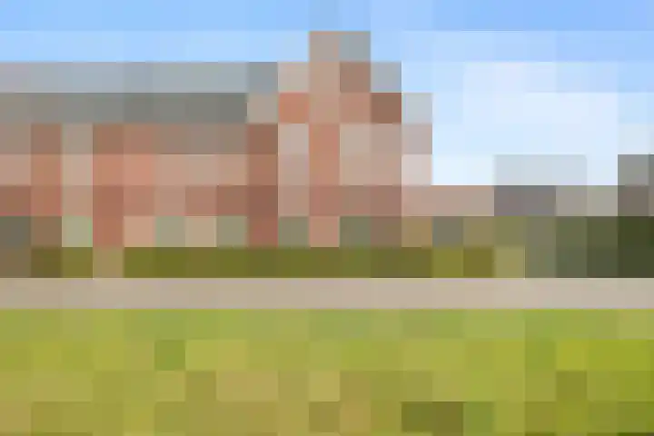Penningkruid 1 Meerstad thumbnail 43