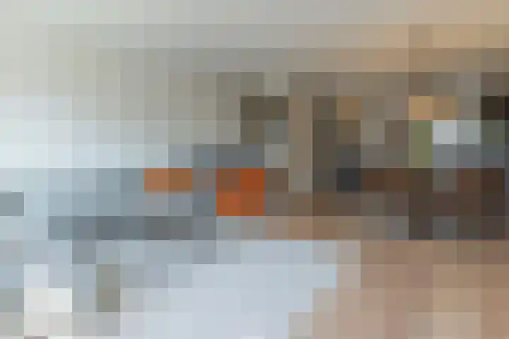 Penningkruid 10 Bodegraven thumbnail 13
