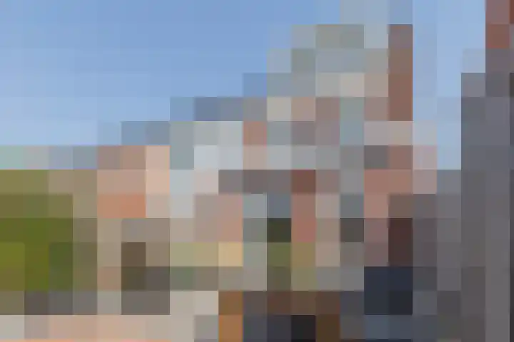 Penningkruid 10 Bodegraven thumbnail 16