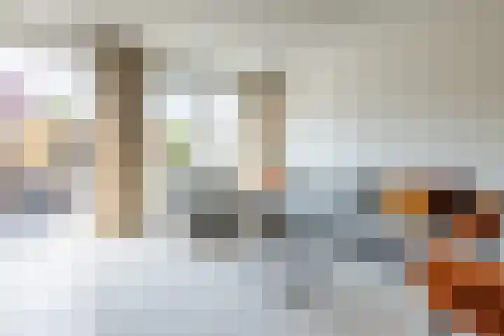 Penningkruid 10 Bodegraven thumbnail 17