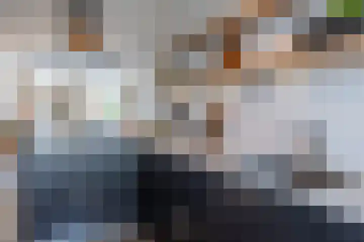 Penningkruid 10 Bodegraven thumbnail 24