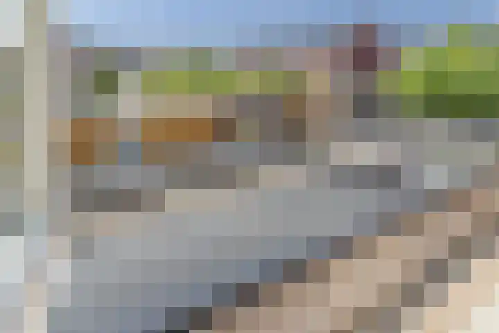 Penningkruid 10 Bodegraven thumbnail 30