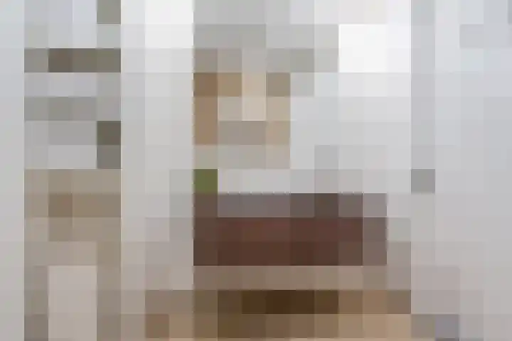 Penningkruid 10 Bodegraven thumbnail 31