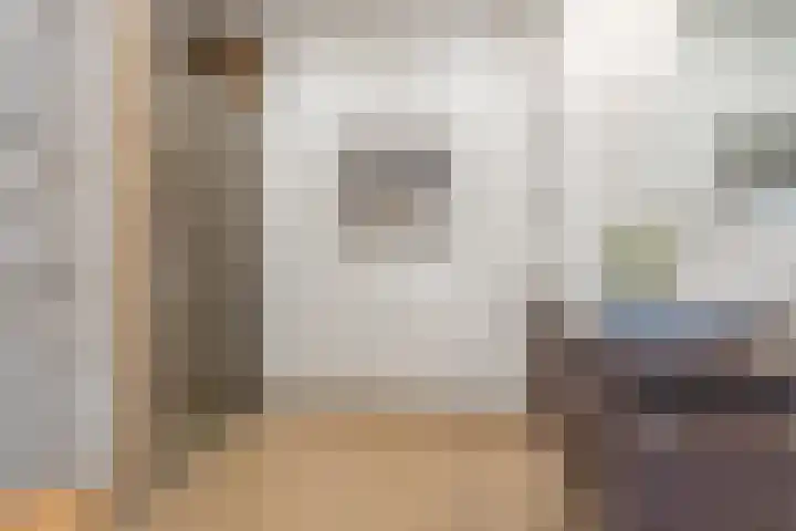 Penningkruid 10 Bodegraven thumbnail 32