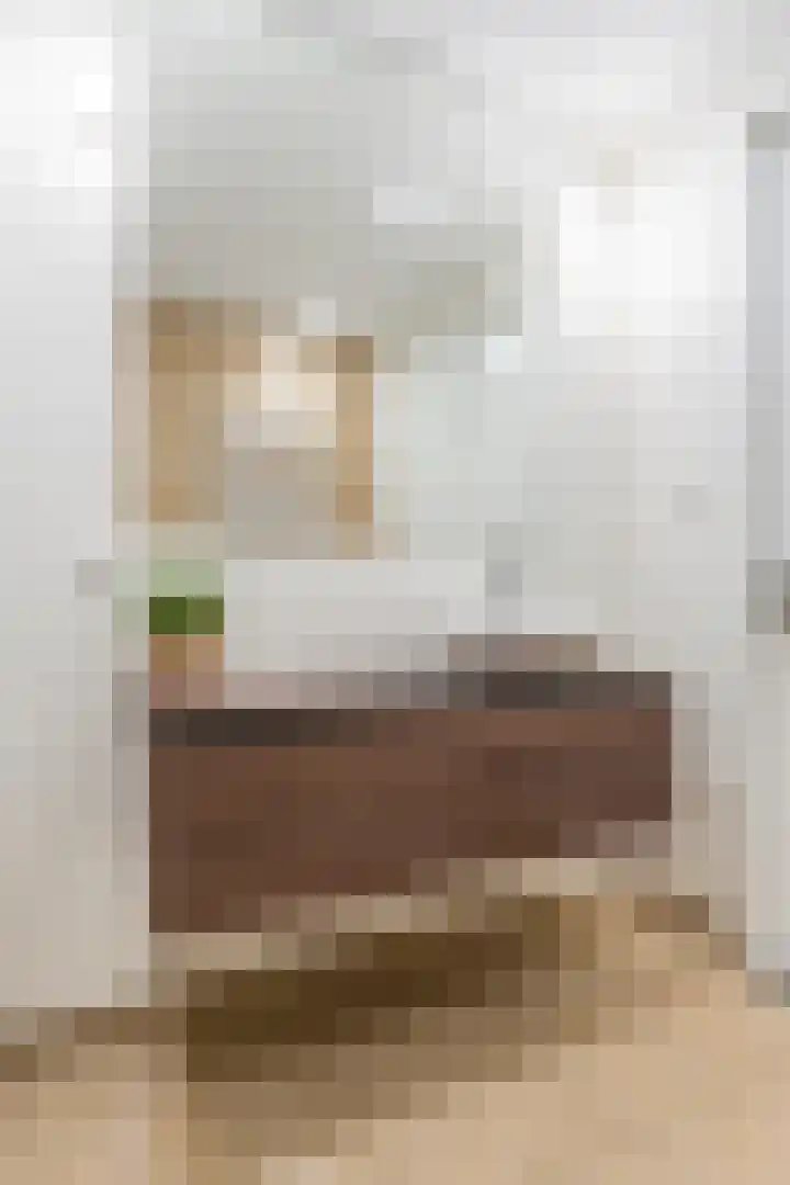 Penningkruid 10 Bodegraven thumbnail 33