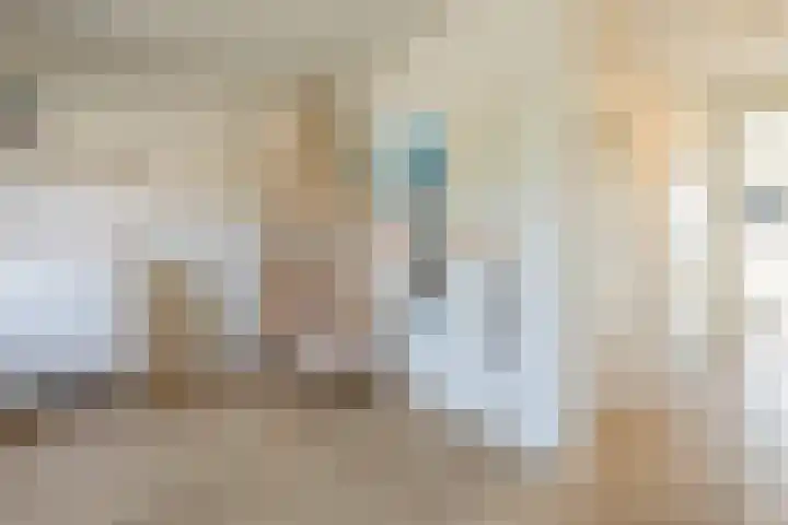 Penningkruid 10 Bodegraven thumbnail 37