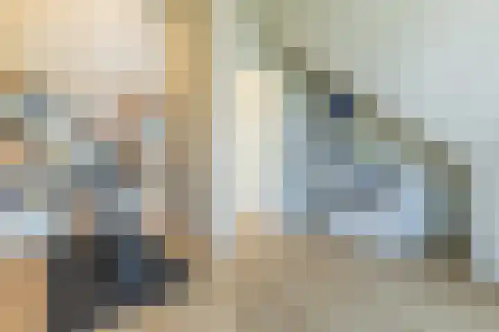 Penningkruid 10 Bodegraven thumbnail 43