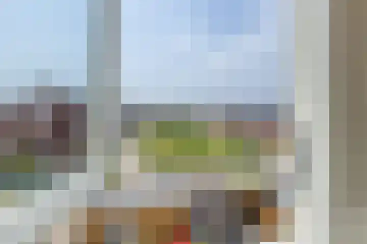 Penningkruid 10 Bodegraven thumbnail 50