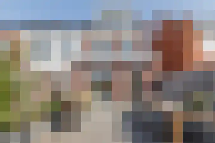 Penningkruid 10 Bodegraven thumbnail 51