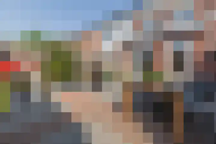 Penningkruid 10 Bodegraven thumbnail 52