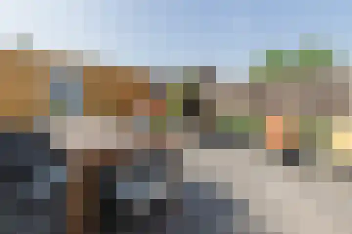 Penningkruid 10 Bodegraven thumbnail 53