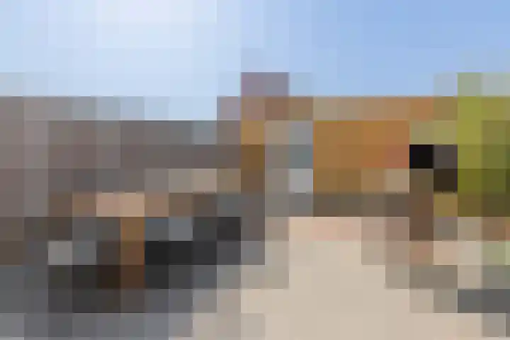 Penningkruid 10 Bodegraven thumbnail 54