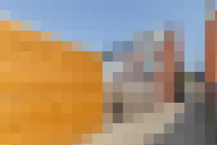 Penningkruid 10 Bodegraven thumbnail 56