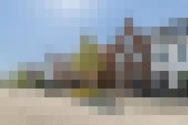 Penningkruid 10 Bodegraven thumbnail 57