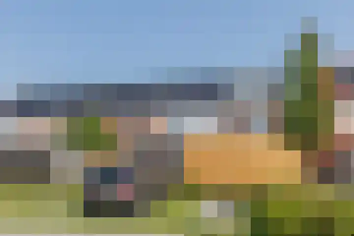 Penningkruid 10 Bodegraven thumbnail 58