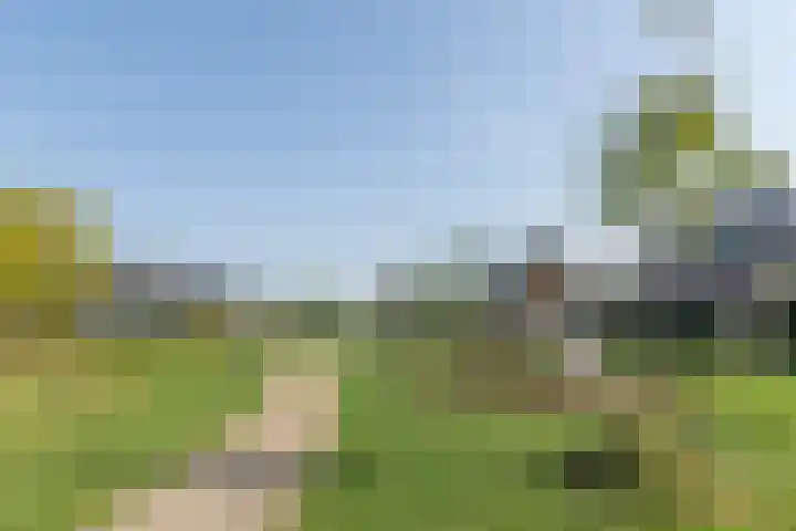 Penningkruid 10 Bodegraven thumbnail 60