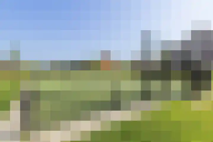 Penningkruid 10 Bodegraven thumbnail 63