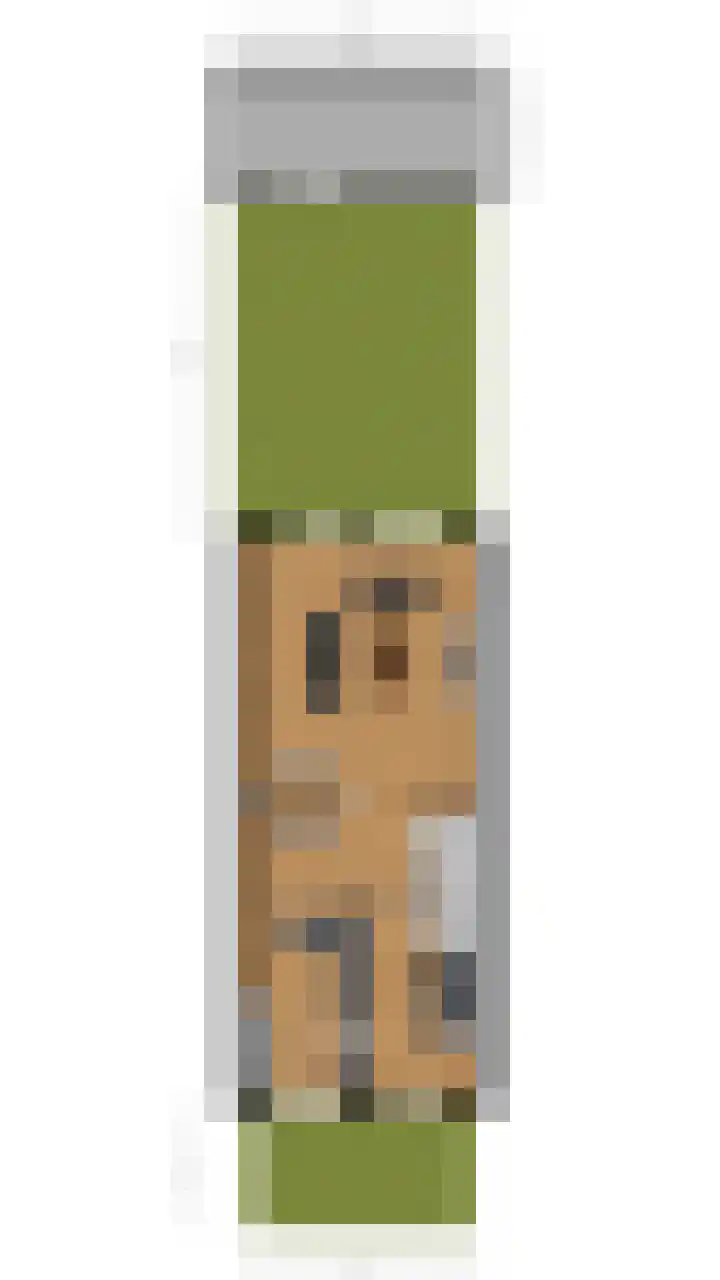 Penningkruid 10 Bodegraven thumbnail 68