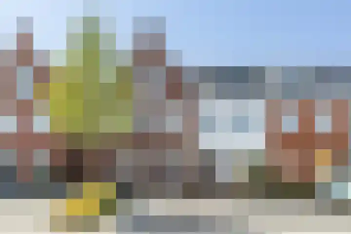 Penningkruid 10 Bodegraven thumbnail 7