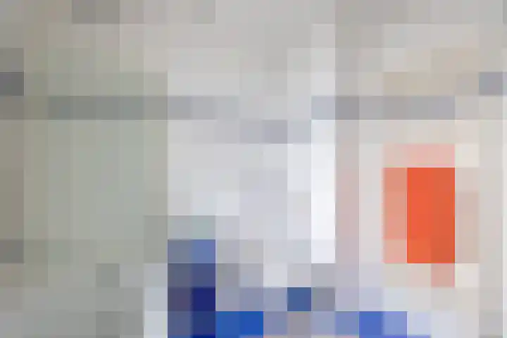 Penningkruid 11 Tegelen thumbnail 12