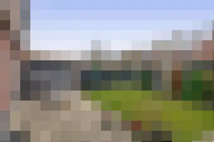 Penningkruid 11 Tegelen thumbnail 15