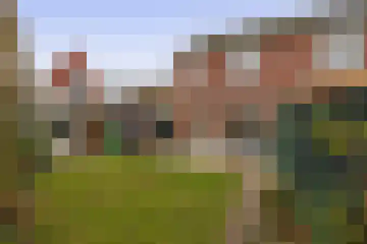 Penningkruid 11 Tegelen thumbnail 17