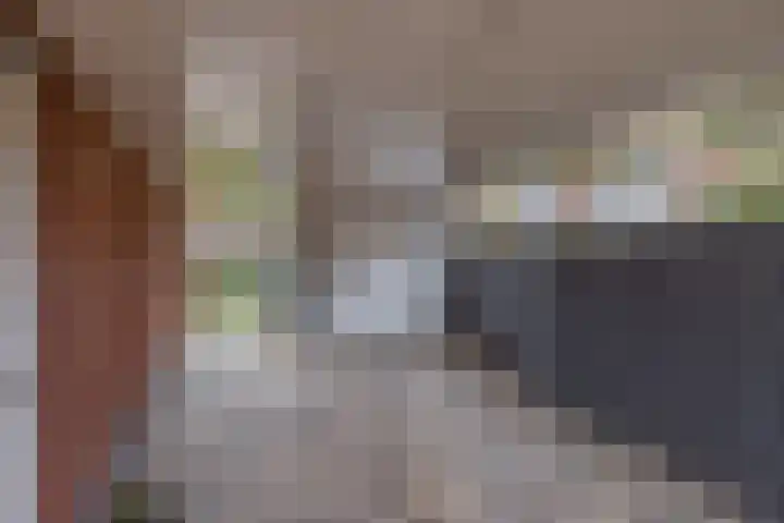 Penningkruid 11 Tegelen thumbnail 18