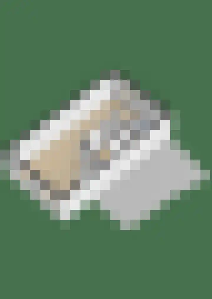 Penningkruid 11 Tegelen thumbnail 20
