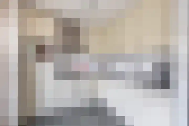 Penningkruid 11 Tegelen thumbnail 6