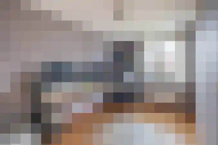 Penningkruid 11 Tegelen thumbnail 9