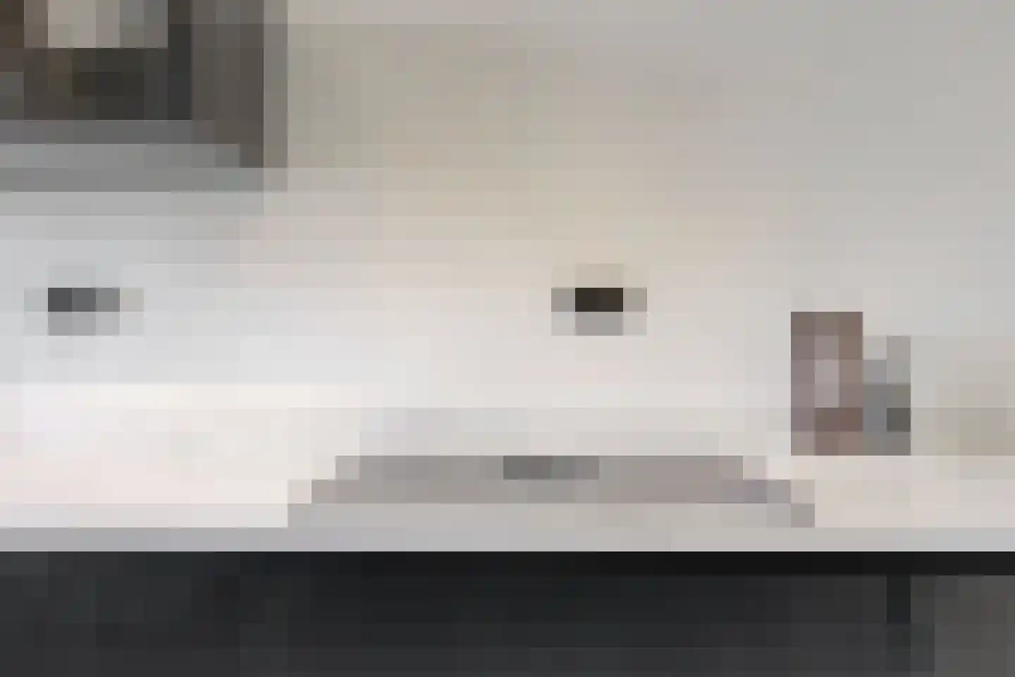 Penningkruid 111 Bodegraven thumbnail 16