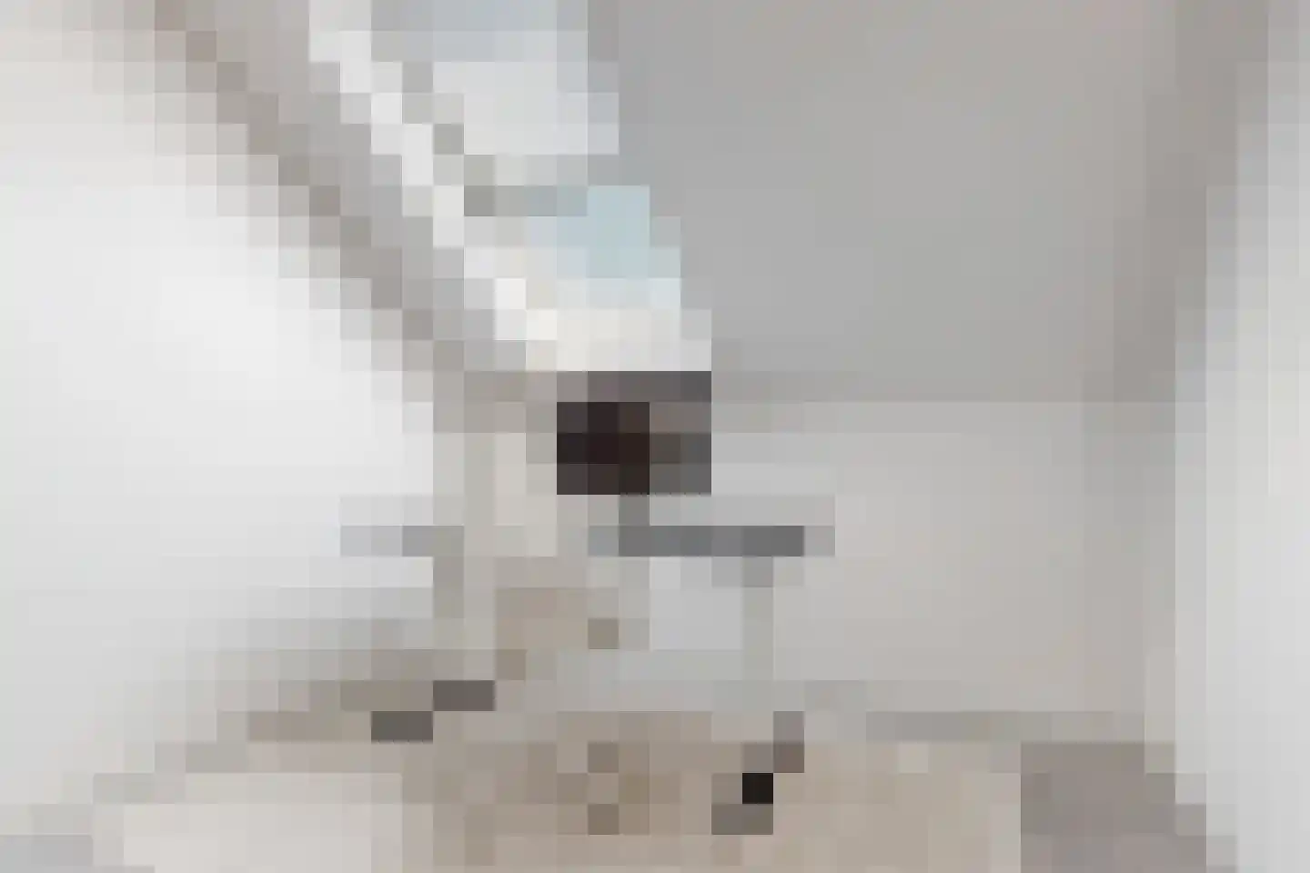 Penningkruid 111 Bodegraven thumbnail 33
