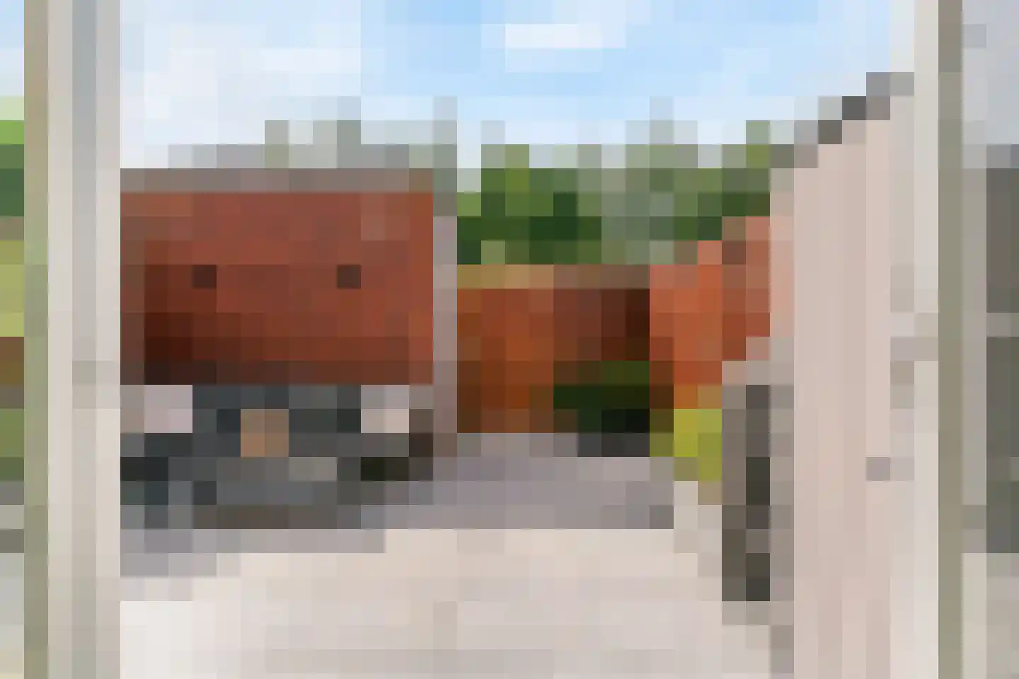 Penningkruid 111 Bodegraven thumbnail 35