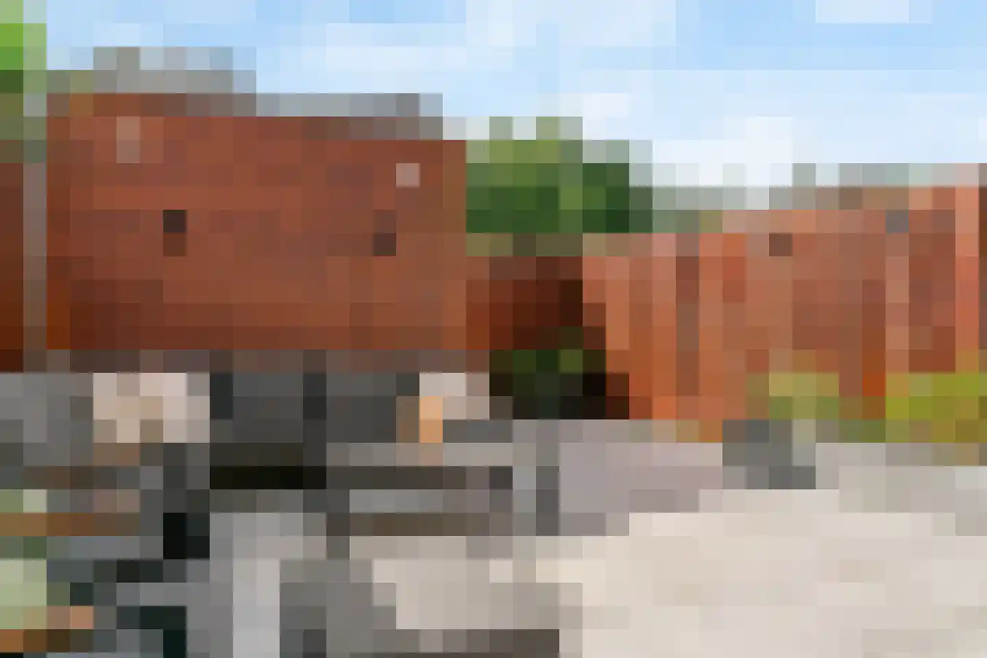 Penningkruid 111 Bodegraven thumbnail 38