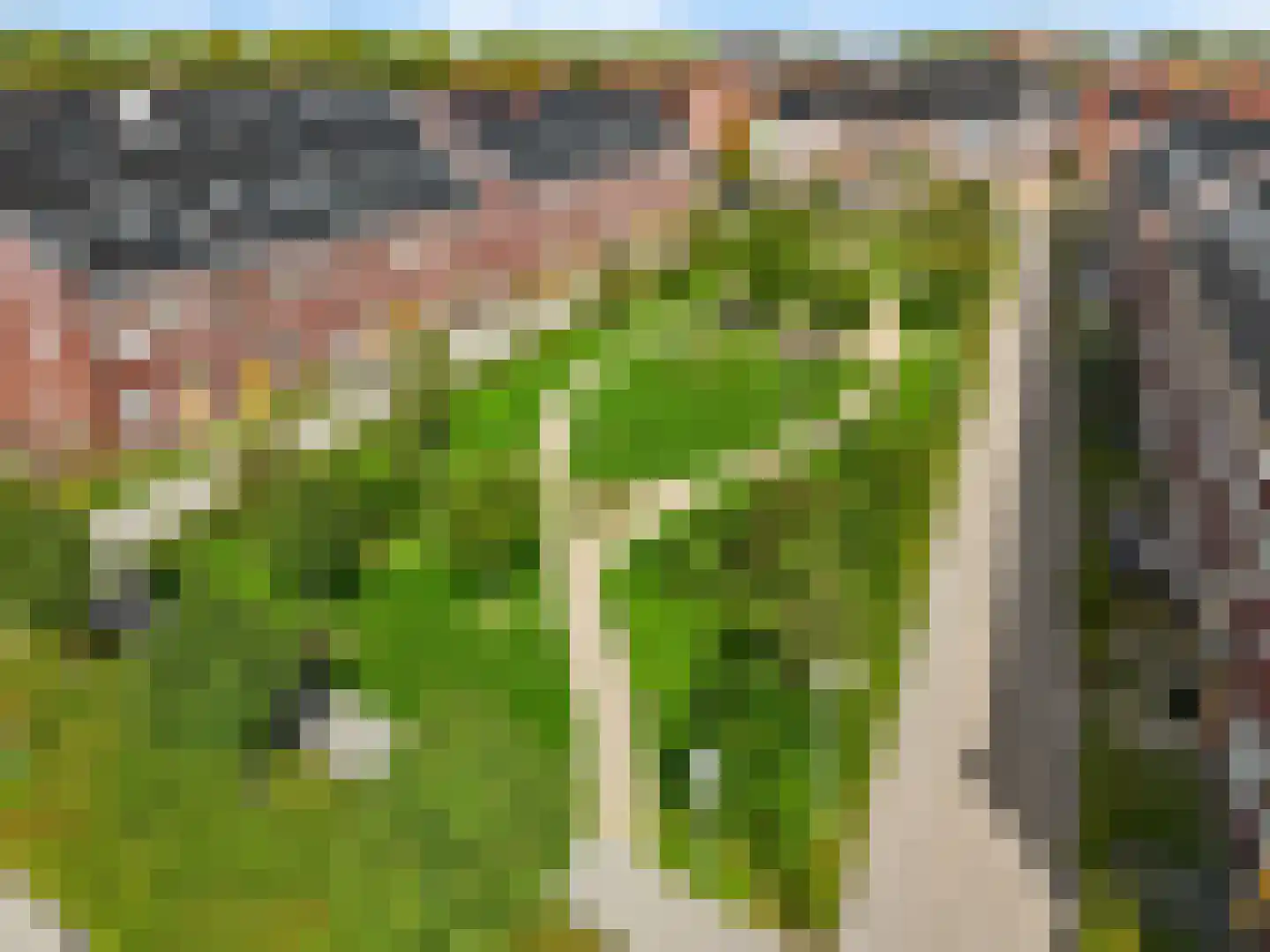 Penningkruid 111 Bodegraven thumbnail 39