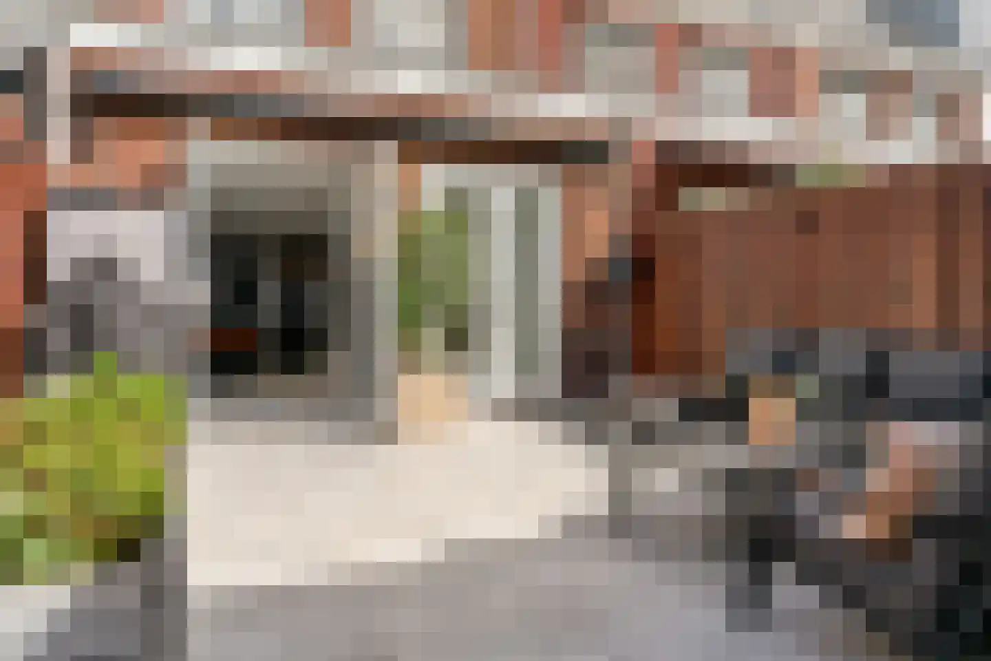 Penningkruid 111 Bodegraven thumbnail 4