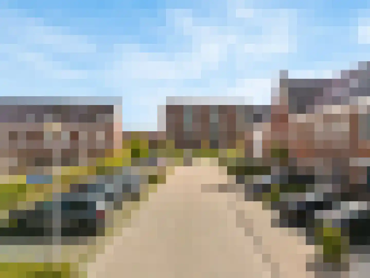 Penningkruid 111 Bodegraven thumbnail 41