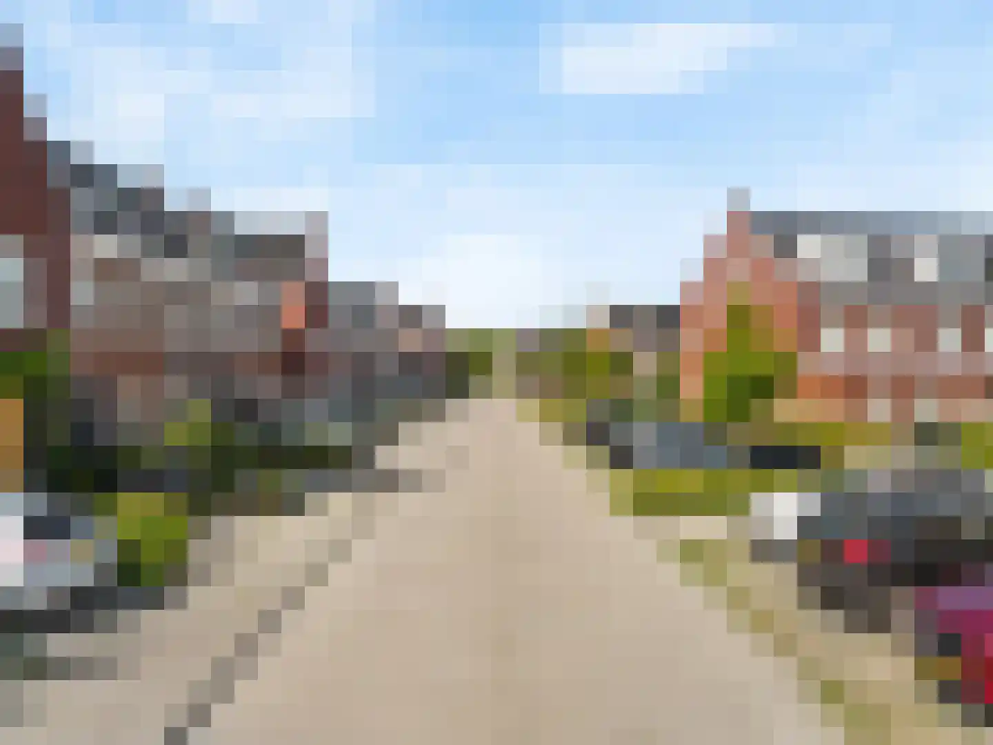 Penningkruid 111 Bodegraven thumbnail 43