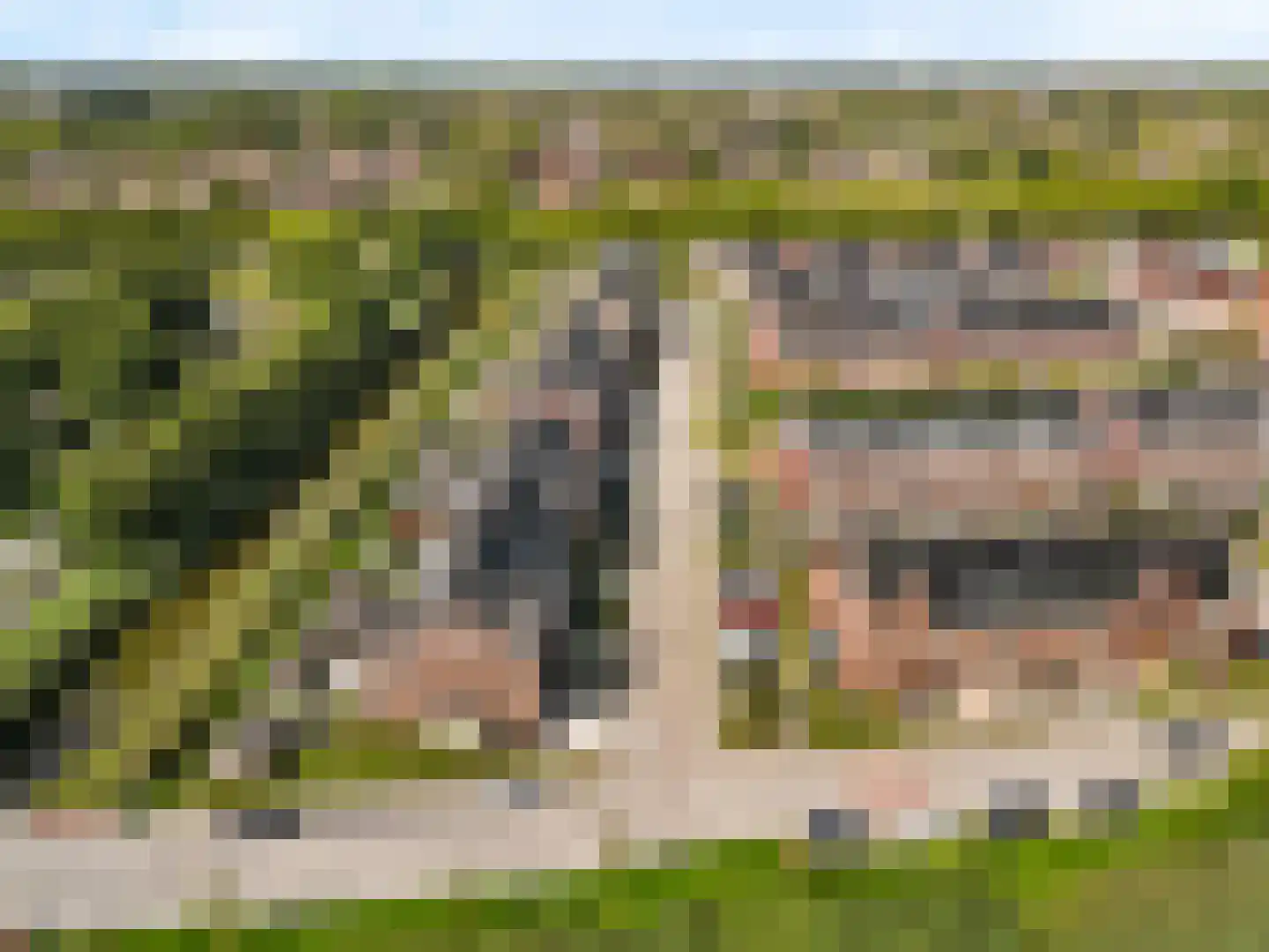 Penningkruid 111 Bodegraven thumbnail 44