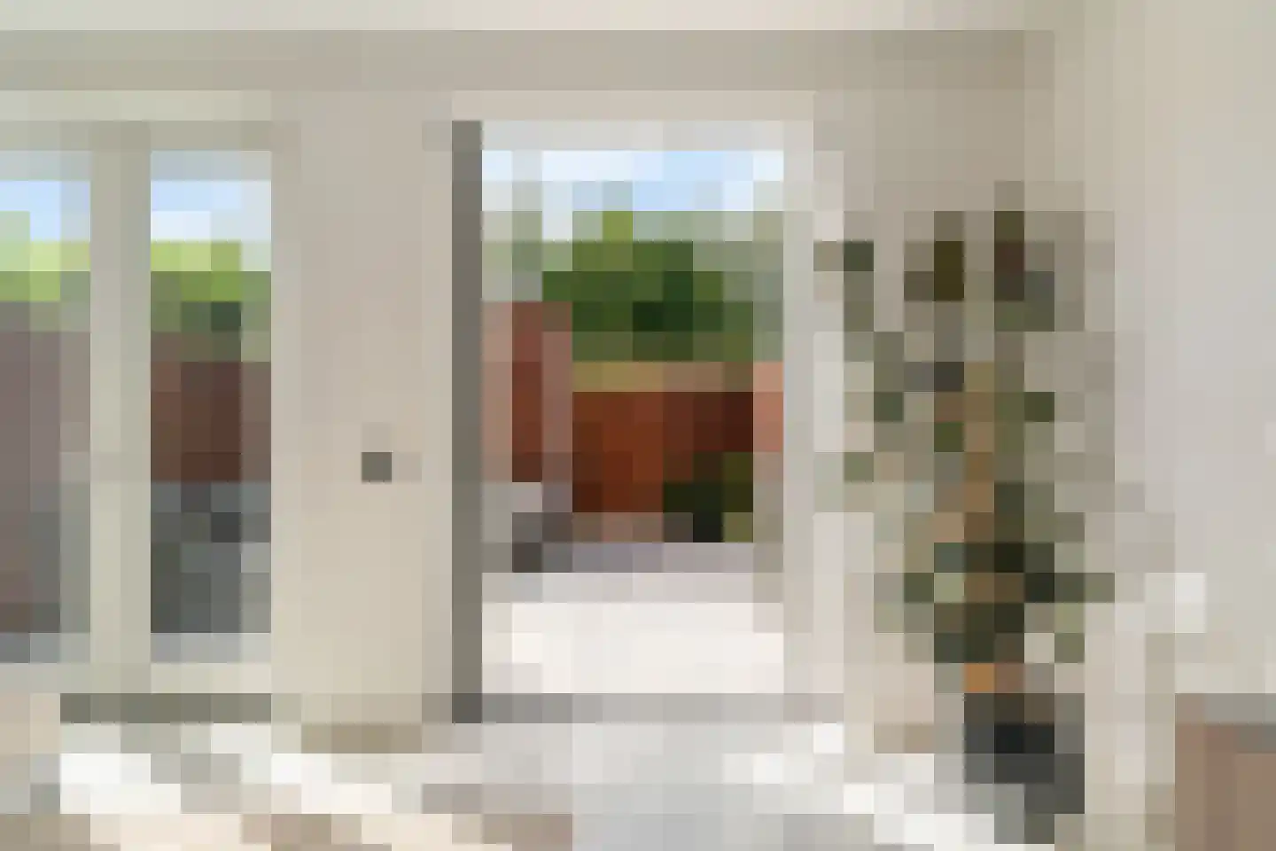 Penningkruid 111 Bodegraven thumbnail 6