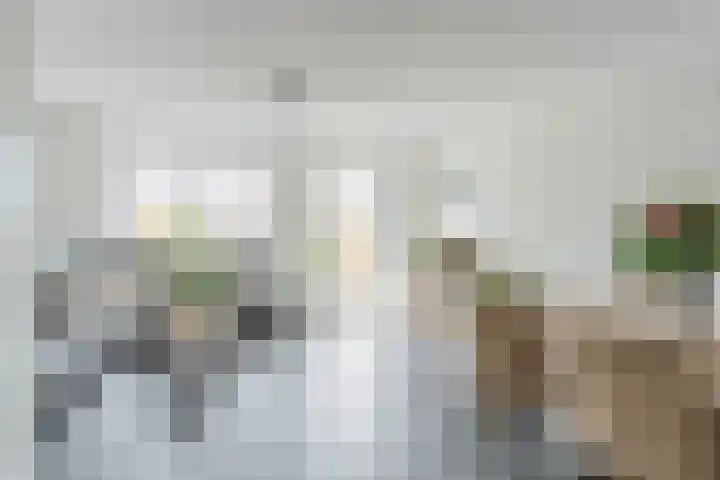 Penningkruid 12 Bodegraven thumbnail 11