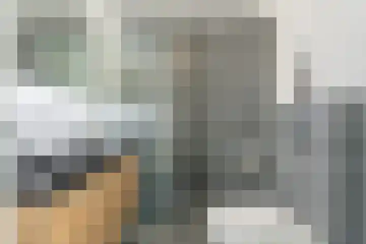 Penningkruid 12 Bodegraven thumbnail 31