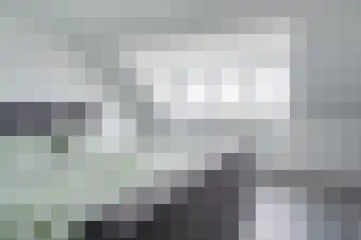 Penningkruid 12 Bodegraven thumbnail 37