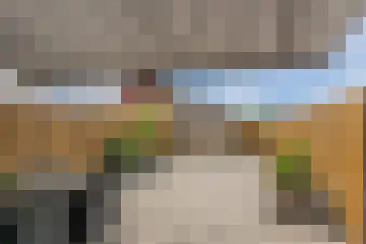 Penningkruid 12 Bodegraven thumbnail 6