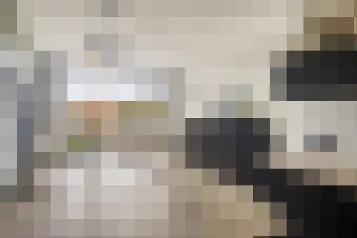 Penningkruid 12 Kampen thumbnail 10